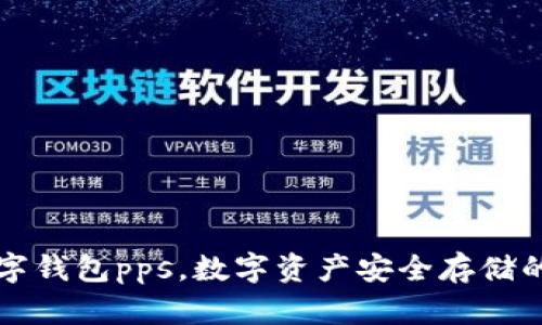 区块链数字钱包pps，数字资产安全存储的最佳选择