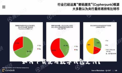 如何下载使用数字钱包支付？