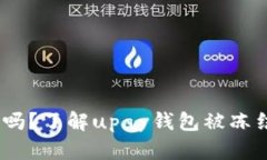 upay钱包会被冻结吗？了解upay钱包被冻结的原因和