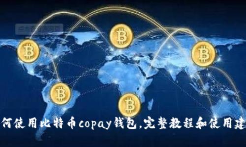 如何使用比特币copay钱包，完整教程和使用建议