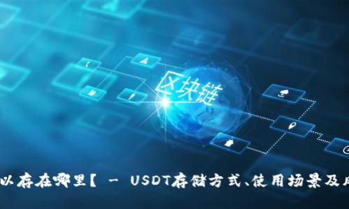 USDT可以存在哪里？ - USDT存储方式、使用场景及风险分析