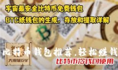 国内比特币钱包推荐，轻松赚钱攻略