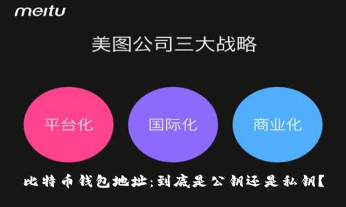 比特币钱包地址：到底是公钥还是私钥？