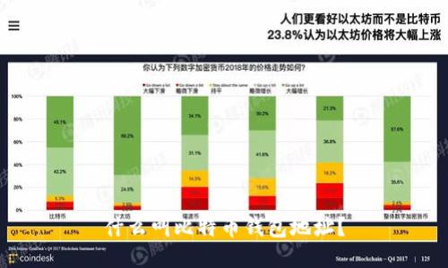 什么叫比特币钱包地址？