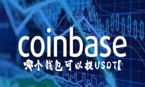 哪个钱包可以提USDT？