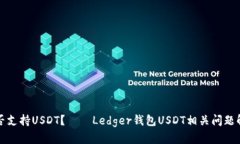 是否支持USDT?——Ledger钱包USDT相关问题解析