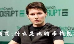 比特币钱包观察模式:什么是比特币钱包观察模
