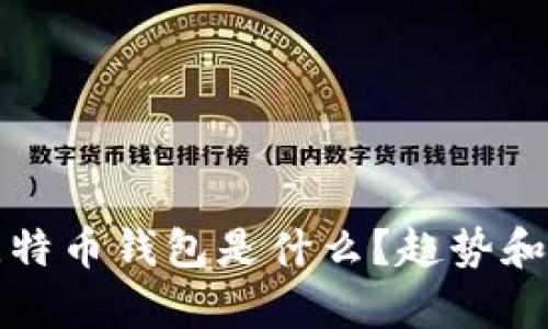 领先的比特币钱包是什么？趋势和功能分析