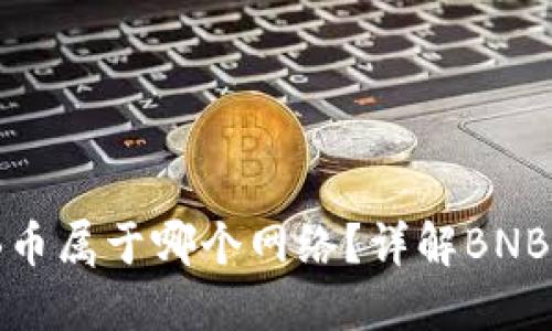 TP冷钱包中的BNB币属于哪个网络？详解BNB的网络架构与应用