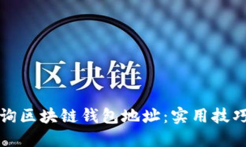 如何快速查询区块链钱包地址:实用技巧与平台推荐