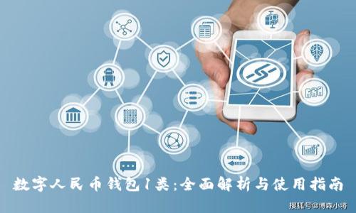 数字人民币钱包1类:全面解析与使用指南