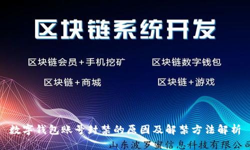 数字钱包账号封禁的原因及解禁方法解析