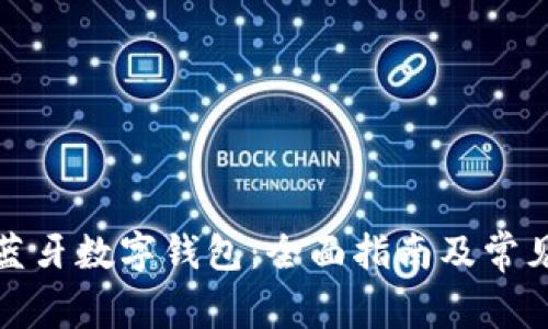 如何开通蓝牙数字钱包：全面指南及常见问题解答