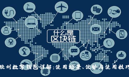 胶州数字钱包详解：使用场景、优势与使用技巧