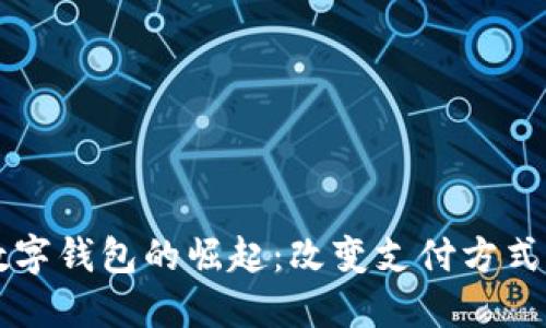 非洲数字钱包的崛起:改变支付方式的图景