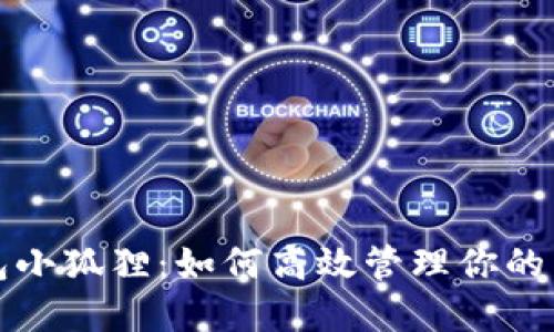 数字钱包小狐狸:如何高效管理你的虚拟资产