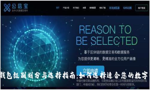 数字钱包级别划分与选择指南:如何选择适合您的数字钱包?