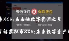 虚拟币XCH:未来的数字资产之星深入了解虚拟币