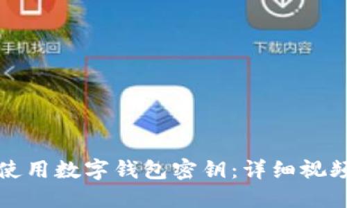 如何使用数字钱包密钥:详细视频教程