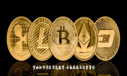剪映如何修改钱包数字:全面指南与注意事项