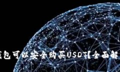哪种冷钱包可以安全购买USDT?全面解析及推荐