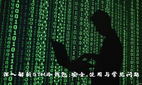 深入解析BTM冷钱包:安全、使用与常见问题