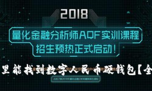 宁波哪里能找到数字人民币硬钱包?全面指南