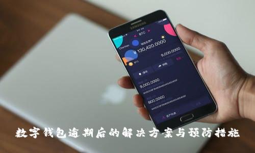 数字钱包逾期后的解决方案与预防措施