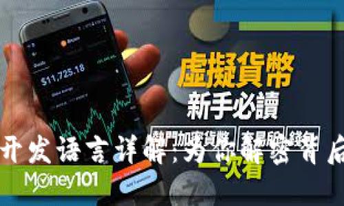 区块链钱包开发语言详解:为你解密背后的技术选择