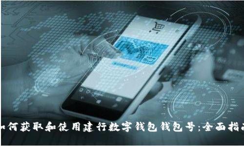 如何获取和使用建行数字钱包钱包号:全面指南