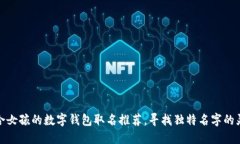 适合女孩的数字钱包取名推荐，寻找独特名字的