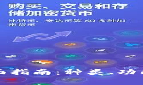 数字钱包的全面指南:种类、功能与安全性分析