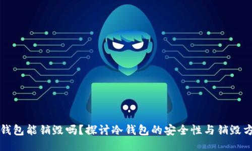 冷钱包能销毁吗?探讨冷钱包的安全性与销毁方式