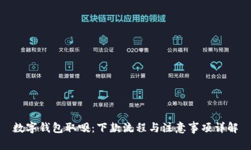 数字钱包取呗:下款流程与注意事项详解