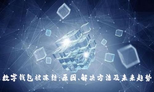 数字钱包被冻结:原因、解决方法及未来趋势
