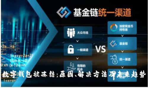 数字钱包被冻结:原因、解决方法及未来趋势