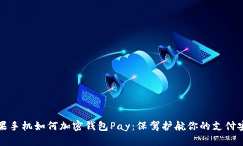 苹果手机如何加密钱包Pay:保驾护航你的支付安全