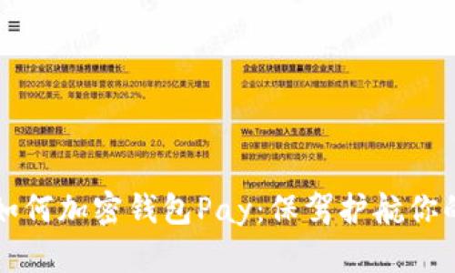 苹果手机如何加密钱包Pay:保驾护航你的支付安全