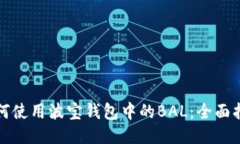 如何使用波宝钱包中的BAL:全面指南