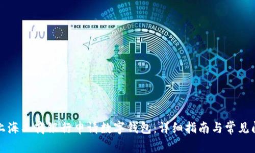 如何在上海工商银行申请数字钱包:详细指南与常见问题解答