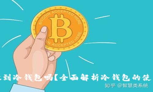 什么币都可以放到冷钱包吗?全面解析冷钱包的使用与币种兼容性