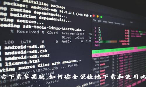 比特派官方下载苹果版:如何安全便捷地下载和使用比特派钱包