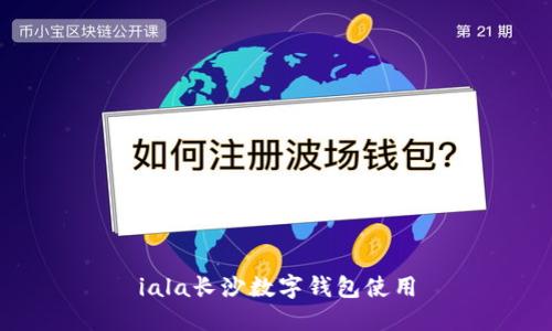 iala长沙数字钱包使用