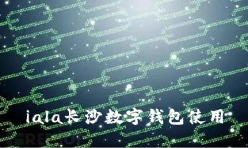 iala长沙数字钱包使用