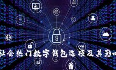 西方社会热门数字钱包选项及其影响分析