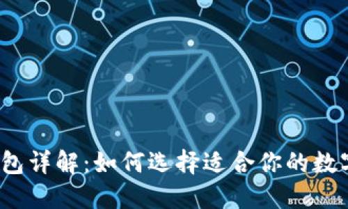 数字钱包详解:如何选择适合你的数字钱包?