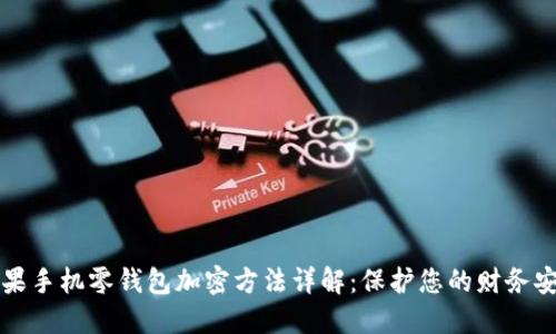 苹果手机零钱包加密方法详解:保护您的财务安全