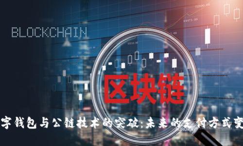 数字钱包与公链技术的突破：未来的支付方式变革