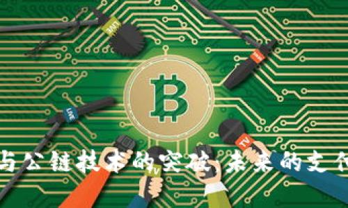 数字钱包与公链技术的突破：未来的支付方式变革