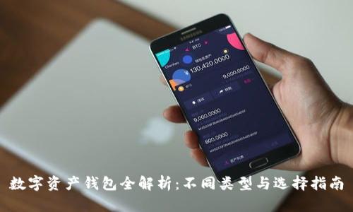 数字资产钱包全解析:不同类型与选择指南